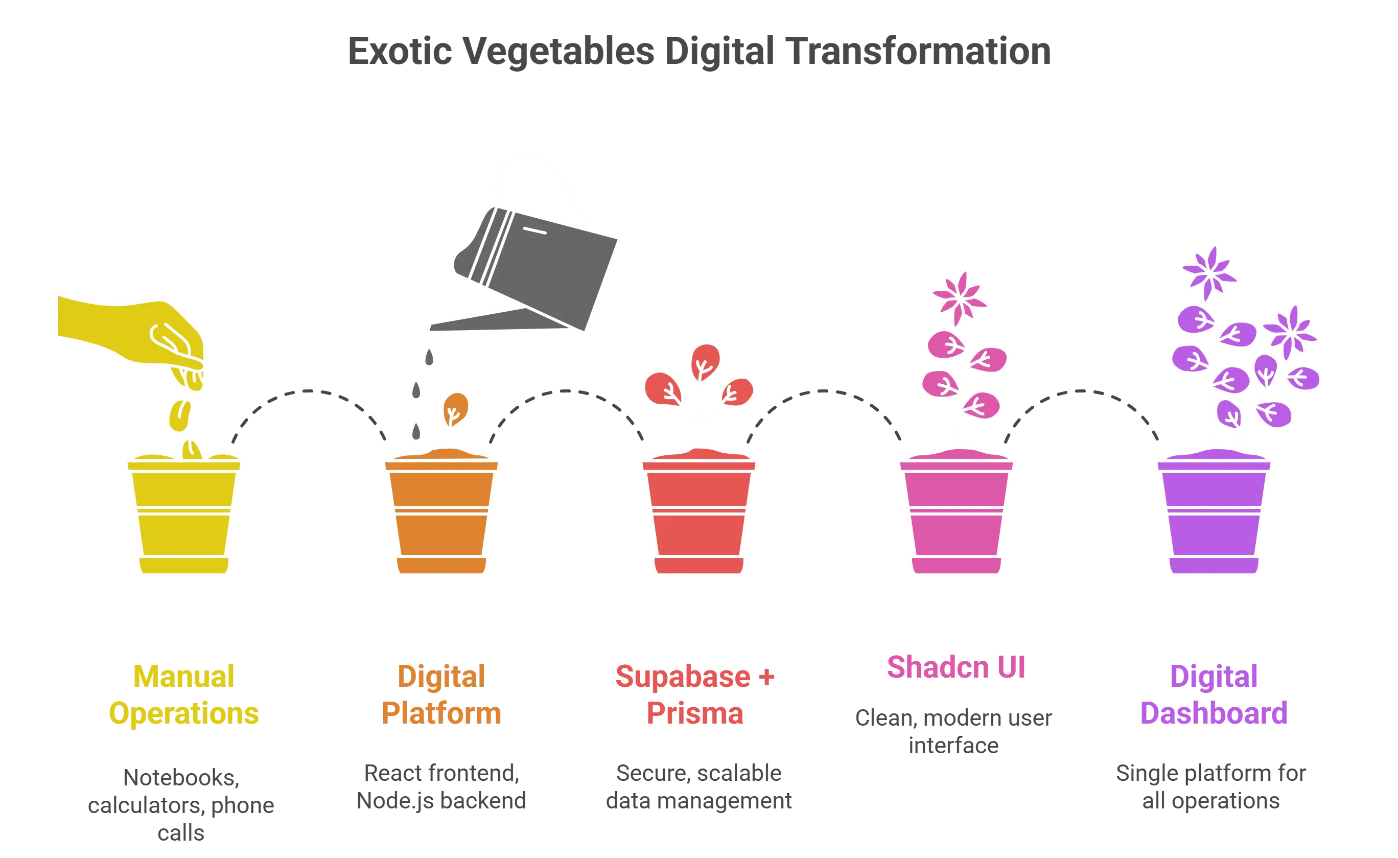 Exotic Vegetables Screen 3